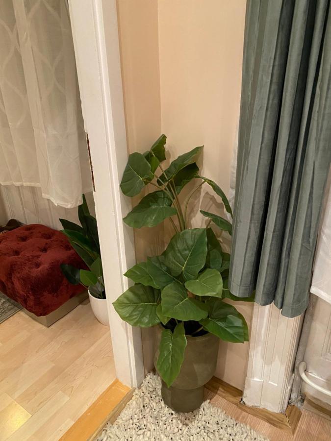 Jungle Story Apartment By Millenaris Park With Free Parking Budapest Eksteriør billede