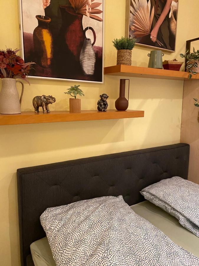 Jungle Story Apartment By Millenaris Park With Free Parking Budapest Eksteriør billede